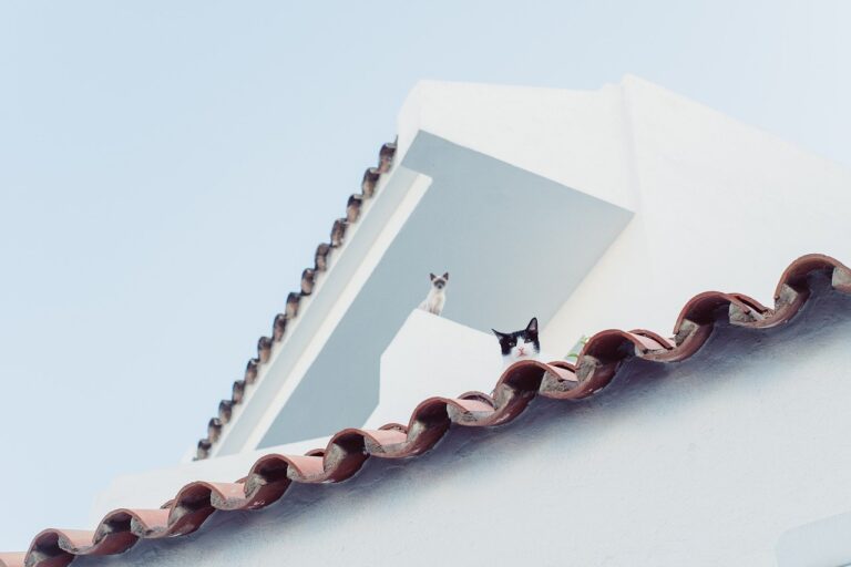 Nettoyer sa toiture à distance : comment le faire sans monter sur le toit